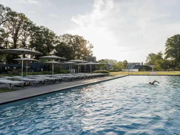 Swimming in the outdoor pool at Roan campsite De Twee Bruggen.